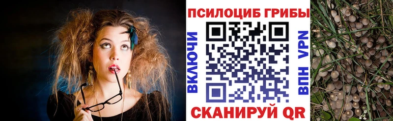 hydra вход  Шахунья  Галлюциногенные грибы ЛСД 